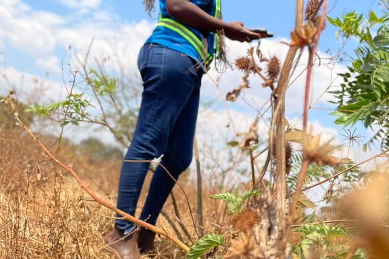 This is when our team was on-site at the Kabudula plot, walking the boundary and recording coordinate points to support the site sketch.